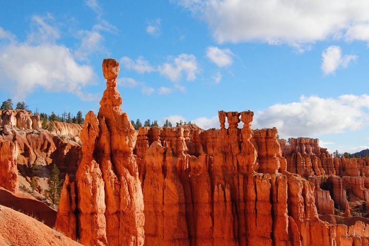 Bryce Canyon National Park with Vibrant Red Hoodoos
