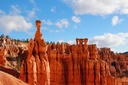 Bryce Canyon National Park with Vibrant Red Hoodoos