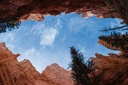Looking up through Bryce Canyon
