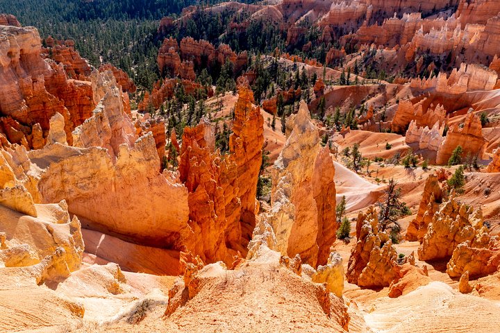 Hoodoos Inside Bryce Canyon National Park