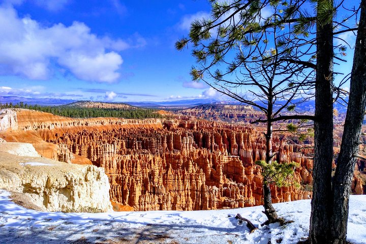 Winter Colors at Bryce Canyon