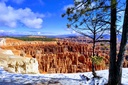 Winter Colors at Bryce Canyon