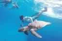 El Cielo snorkeling tour