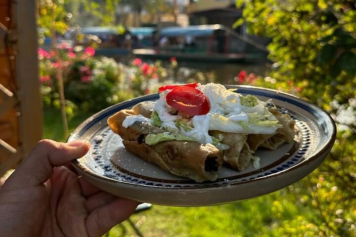 Mexican regular or vegetarian tacos